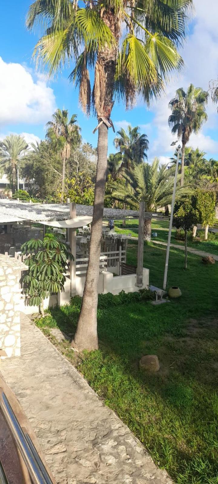 Apartamento Pepita Alay Benalmadena Ngoại thất bức ảnh