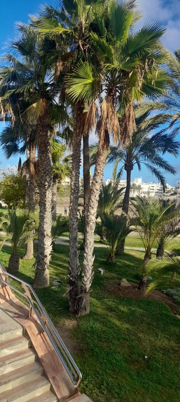 Apartamento Pepita Alay Benalmadena Ngoại thất bức ảnh